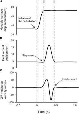 Adaptation of the Compensatory Stepping Response Following Predictable and Unpredictable Perturbation Training